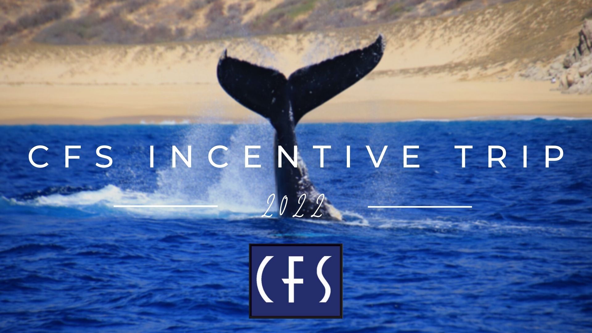 CFS Incentive Trip: Cabo 2022